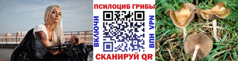 Галлюциногенные грибы Magic Shrooms  Обнинск 